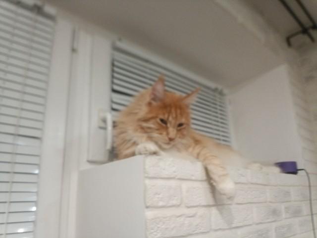 Подборка прикольных фото №3833