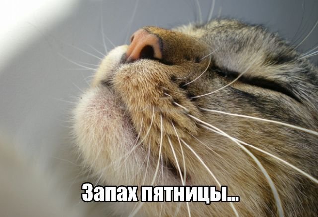 Трынделка - 27.11.2025