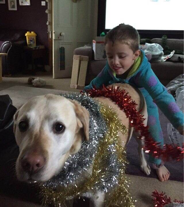 
        16&nbsp;доказательств того, что&nbsp;жизнь с&nbsp;детьми и&nbsp;питомцами полна приключений    