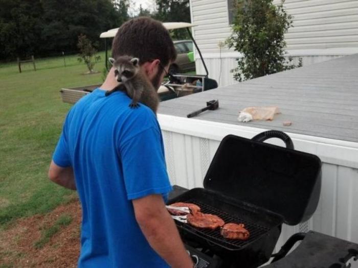 Подборка прикольных фото №3833