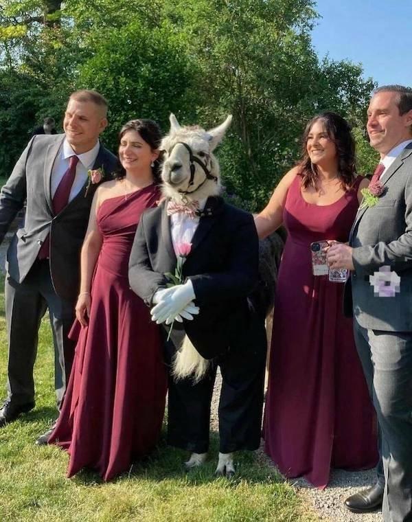 Подборка прикольных фото №3835