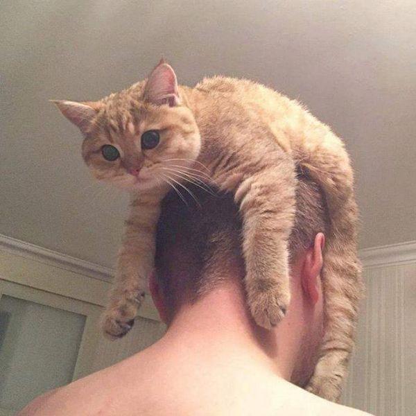 Подборка прикольных фото №3824