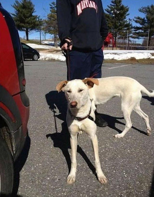 Оказалось, показалось: игра для внимательных глаз Оказалось, показалось: игра для внимательных глаз