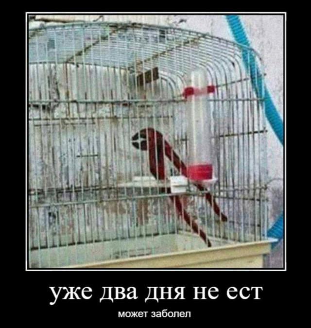 
			Демотиваторы №3775 (15 фото)