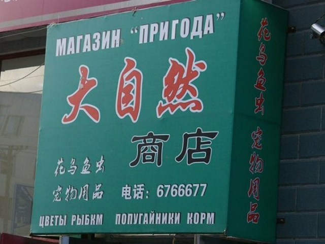 Подборка забавных фото о трудностях перевода с китайского