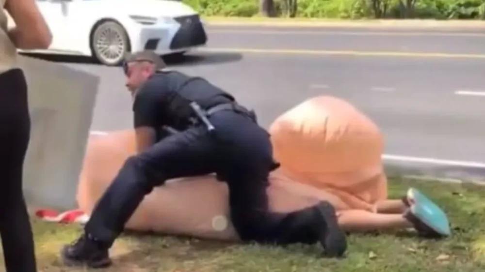 
        Женщина схлопотала арест за&nbsp;гигантский символ протеста    