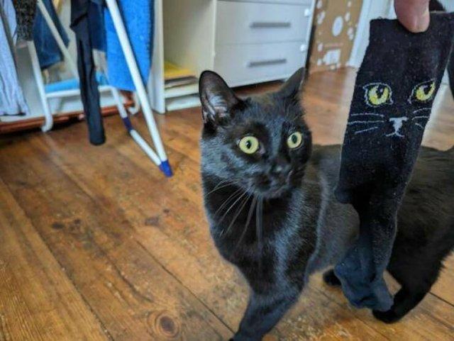 Подборка прикольных фото №3827