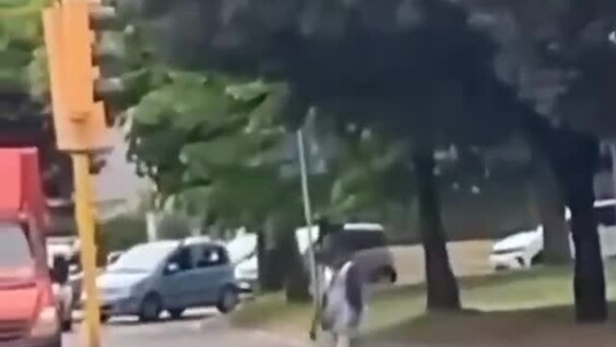 
        Безумный поступок в&nbsp;Риме: мигрант устроил пожар на&nbsp;АЗС    