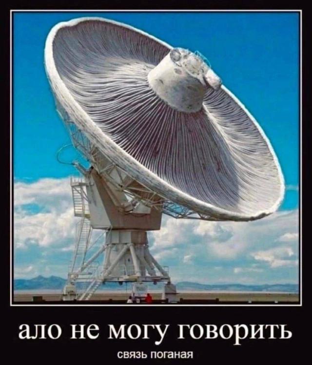 
			Демотиваторы №3774 (15 фото)