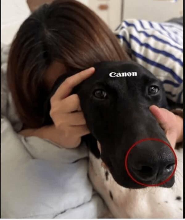 Подборка прикольных фото №3835