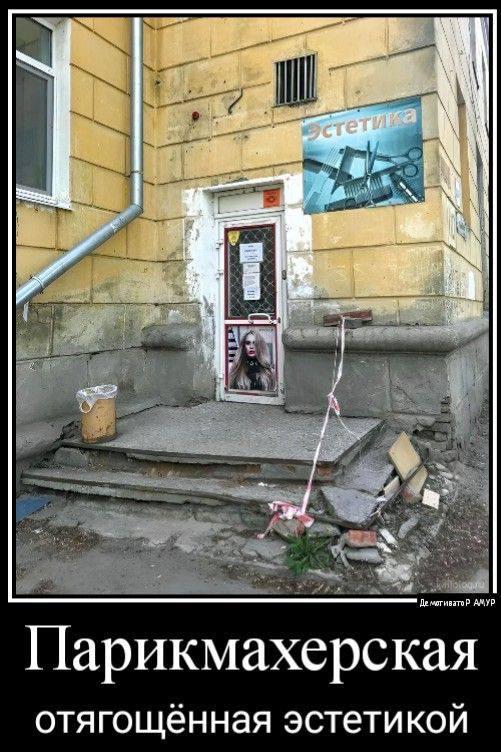 
			Демотиваторы №3775 (15 фото)