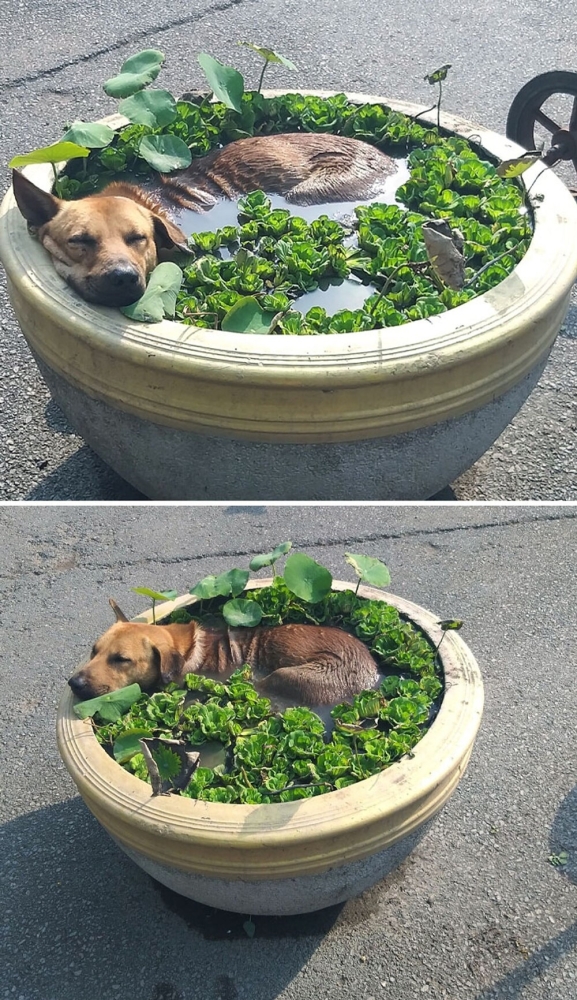 
        20&nbsp;одухотворённых мастеров дзена, которые знают о&nbsp;релаксе всё&nbsp;и&nbsp;даже немного больше    