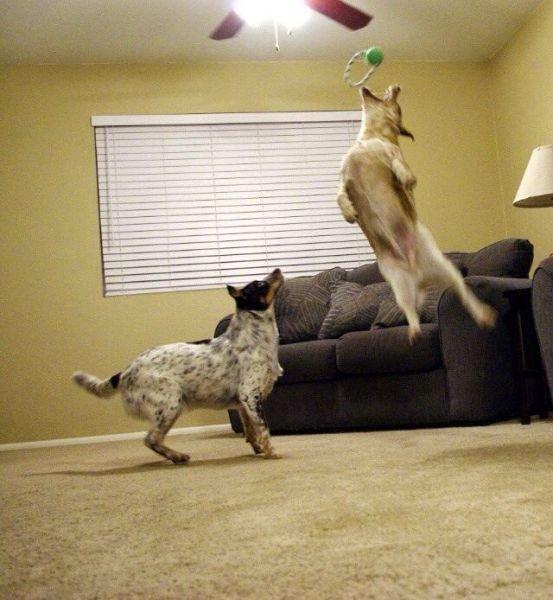 Подборка прикольных фото №3818