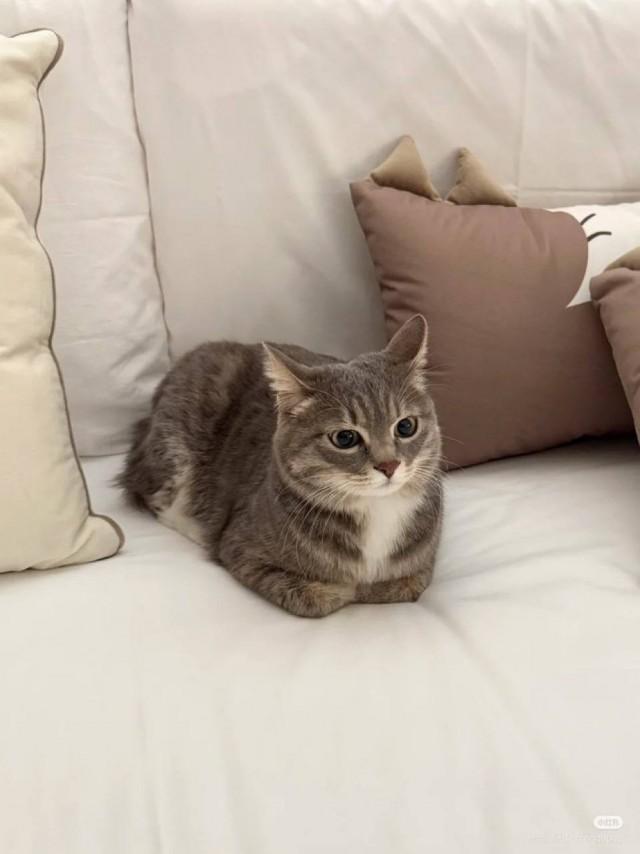 Подборка прикольных фото №3825