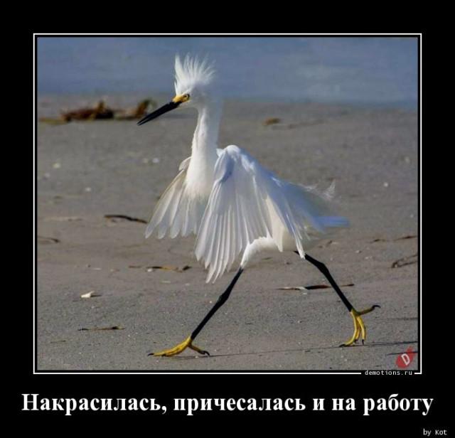 
			Демотиваторы №3765 (15 фото)