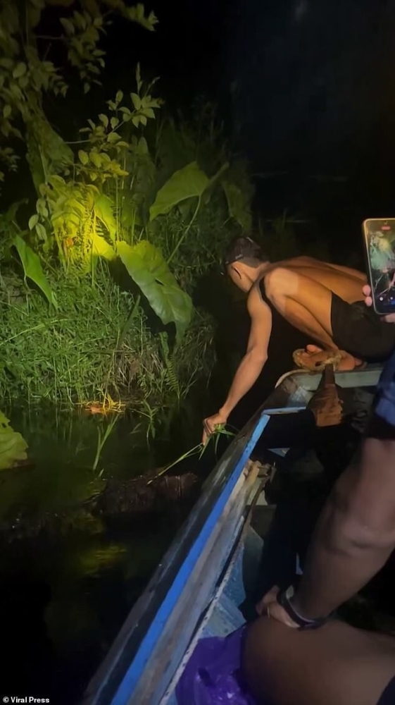 
        Жуткий момент: шестиметровый питон обвивается вокруг шеи&nbsp;гида на&nbsp;Борнео    