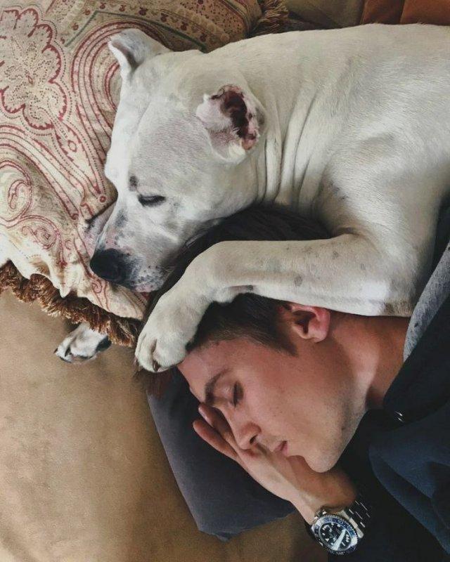 Иван Янковский отметил 35-летие: лучшие фото актера Иван Янковский отметил 35-летие: лучшие фото актера