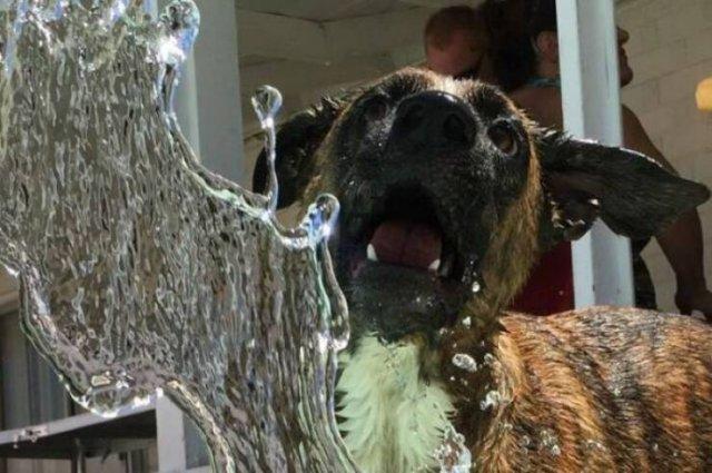 Подборка прикольных фото №3832