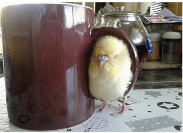 Подборка прикольных фото №3819