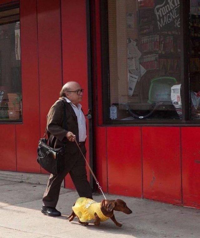 Денни ДеВито отмечает 81-летие: яркие фото актера