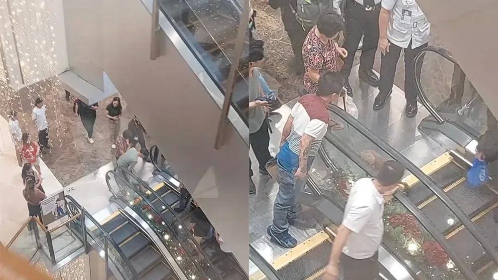 Эскалатор экстренно отключили после того, как собака застряла хвостом
Эскалатор экстренно отключили после того, как собака застряла хвостом