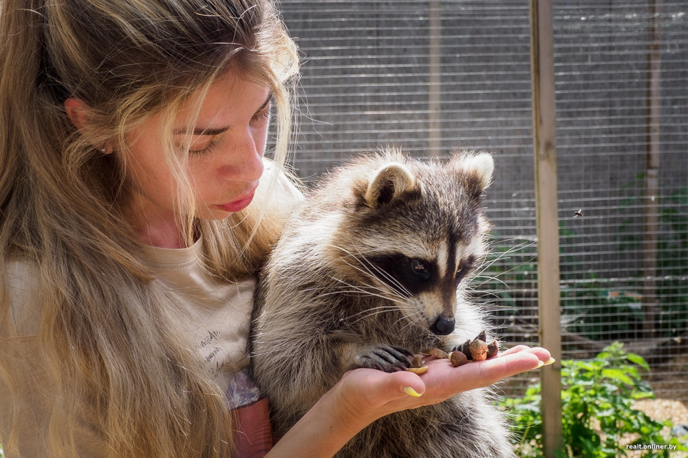 Как нейросети губят животных?
Как нейросети губят животных?