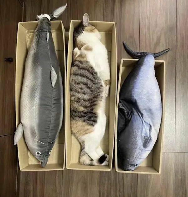 Подборка прикольных фото №3831