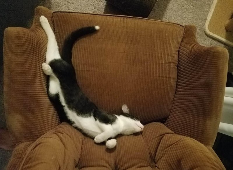 
        20&nbsp;одухотворённых мастеров дзена, которые знают о&nbsp;релаксе всё&nbsp;и&nbsp;даже немного больше    