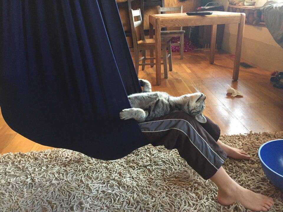 
        16&nbsp;доказательств того, что&nbsp;жизнь с&nbsp;детьми и&nbsp;питомцами полна приключений    