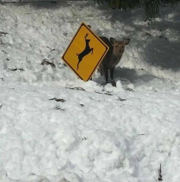 Подборка прикольных фото №3831