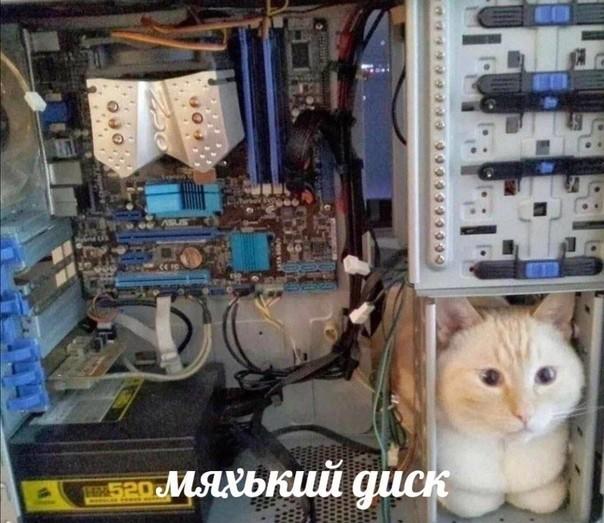 Подборка прикольных фото №3829