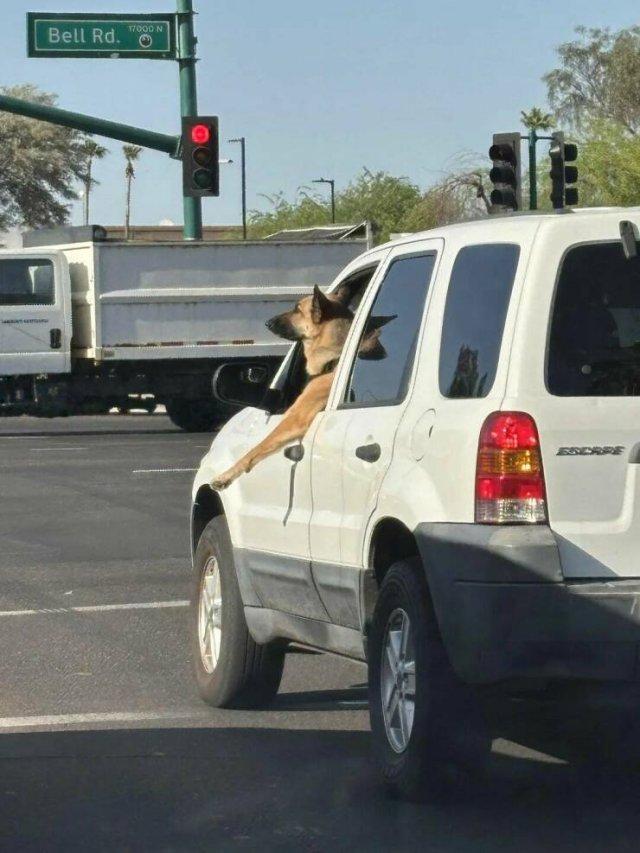 Подборка прикольных фото №3831