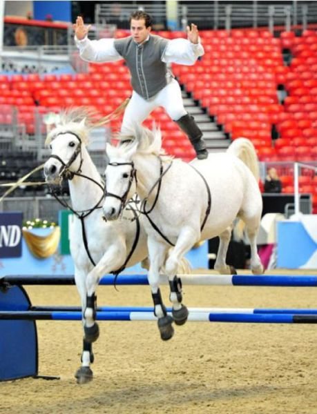 Подборка картинок. Вечерний выпуск - 27.11.2025 (30 фото)