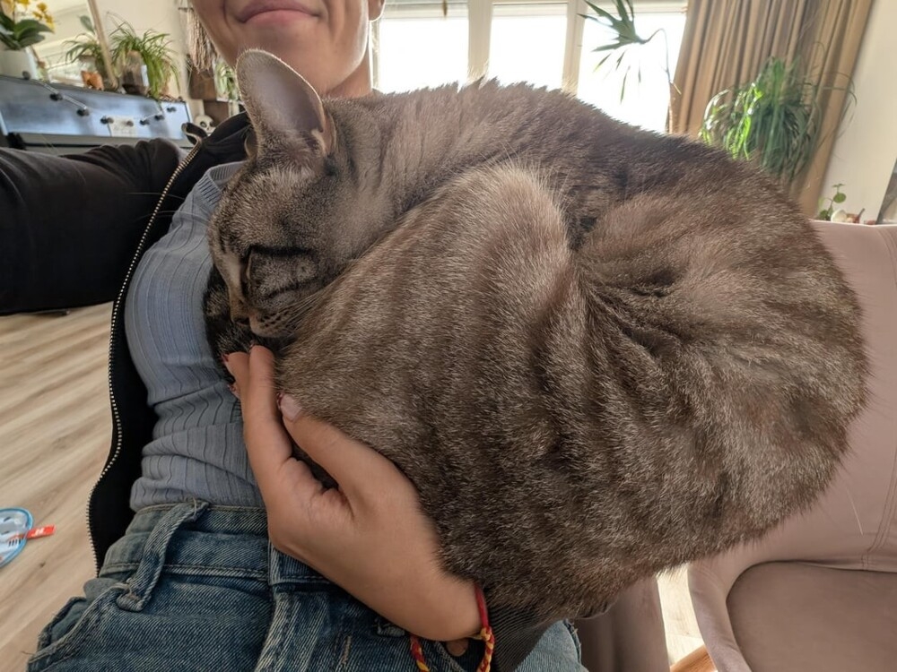 30 снимков животных для хорошего настроения
30 снимков животных для хорошего настроения