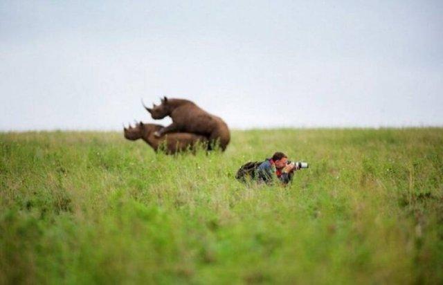 Подборка прикольных фото №3827