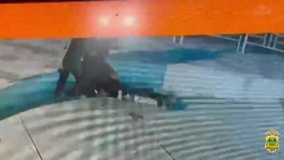 
        Анапский горе-грабитель    