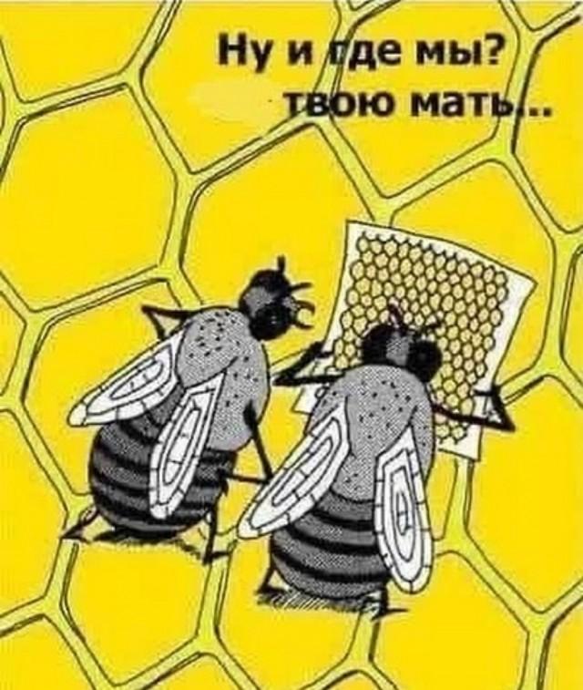 Подборка прикольных фото №3819