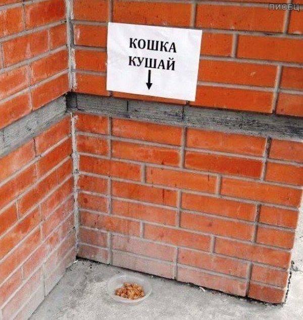 Вывески от маркетологов, подходящих к своей работе с огоньком Вывески от маркетологов, подходящих к своей работе с огоньком