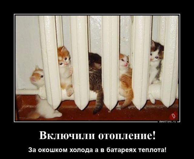 
			Демотиваторы №3764 (15 фото)