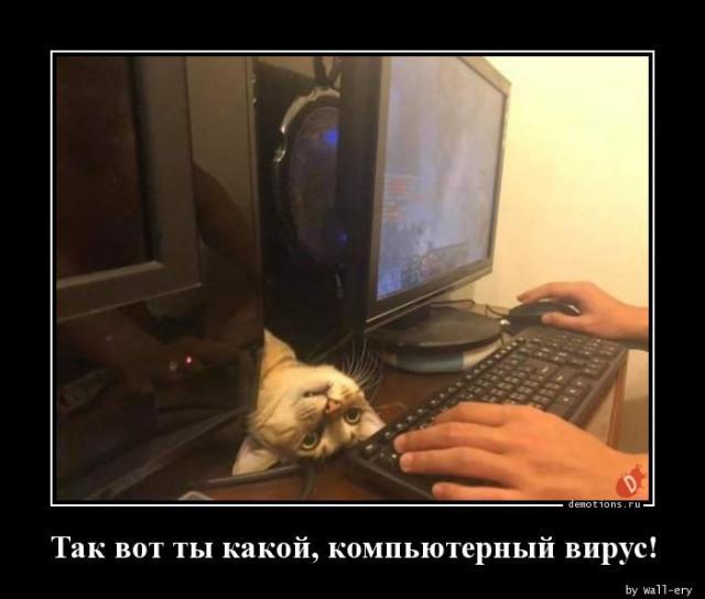 
			Демотиваторы №3768 (18 фото)