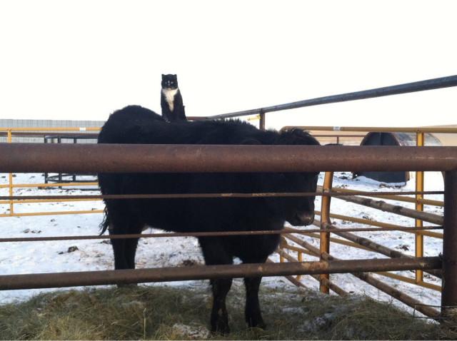 Подборка прикольных фото №3824