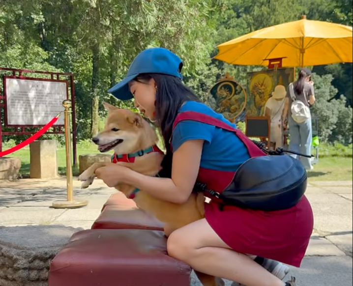 Китайцы заставляют собак помолиться
Китайцы заставляют собак помолиться