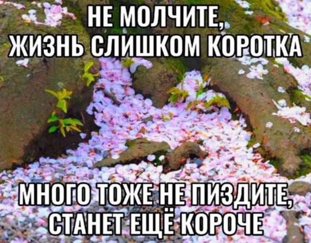 Подборка прикольных фото №3823