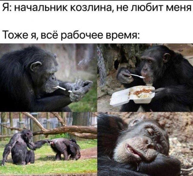 Смешные мемы - 03.11.2025 (15 фото)