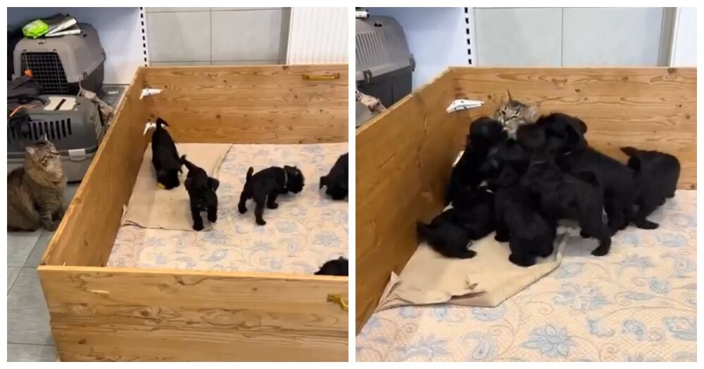 
        Она&nbsp;сама выбрала свою судьбу    