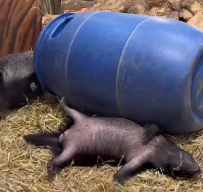 Подборка прикольных фото №3833