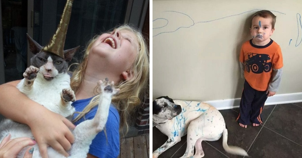 
        16&nbsp;доказательств того, что&nbsp;жизнь с&nbsp;детьми и&nbsp;питомцами полна приключений    