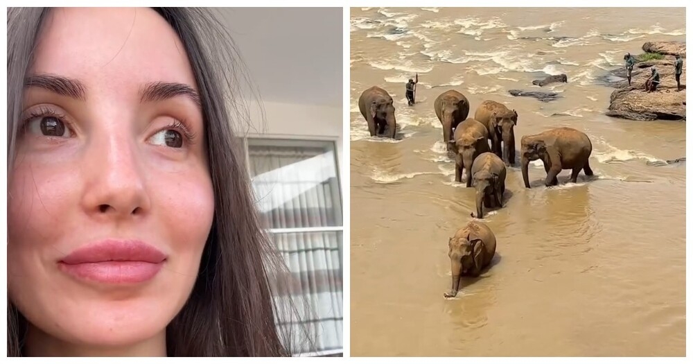 
        Редкое зрелище: туристка из&nbsp;России увидела стадо спасённых слонов прямо из&nbsp;номера    
