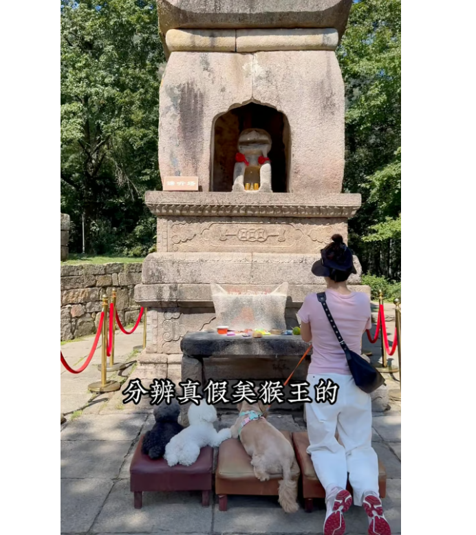 Китайцы заставляют собак помолиться
Китайцы заставляют собак помолиться