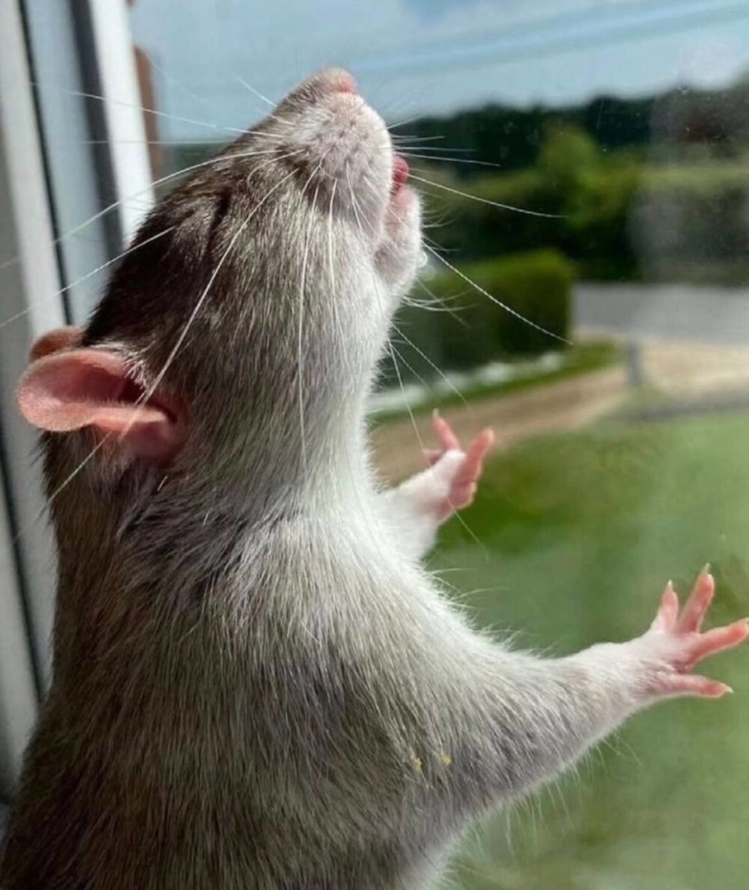 
        20&nbsp;одухотворённых мастеров дзена, которые знают о&nbsp;релаксе всё&nbsp;и&nbsp;даже немного больше    